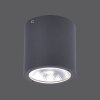 Paul Neuhaus GEORG Ceiling Light LED anthracite, 1-light source