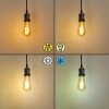 LED Light Bulb Pratoia E27 9 Watt 806 Lumen 2200 - 5500 Kelvin