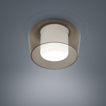 Helestra Canio ceiling light red, white, 1-light source