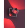 Wall Light Leuchten Direkt Ls-OPTI LED stainless steel, 2-light sources, Remote control, Colour changer