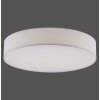 Paul Neuhaus Q-KIARA Ceiling light LED white, 1-light source, Remote control