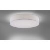 Paul Neuhaus Q-KIARA Ceiling light LED white, 1-light source, Remote control