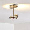 Florenz ceiling light LED matt nickel, 2-light sources