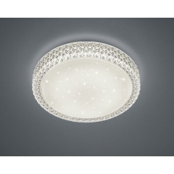 Reality PEGASUS ceiling light LED white, 1-light source