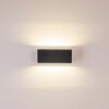 GEMINI Outdoor Wall Light LED anthracite, 1-light source