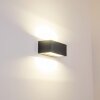 GEMINI Outdoor Wall Light LED anthracite, 1-light source