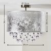 PIRINOA Ceiling light silver, 1-light source