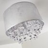 PIRINOA Ceiling light silver, 1-light source