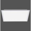 Leuchten Direkt FLEET Ceiling Light LED white, 1-light source, Motion sensor