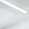 SALMI Ceiling Light LED white, 1-light source, Remote control