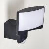 Outdoor Wall Light Larvik LED anthracite, 1-light source, Motion sensor