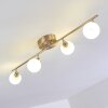 Motala Ceiling Light LED matt nickel, 4-light sources, Remote control, Colour changer