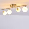 Motala Ceiling Light LED matt nickel, 4-light sources, Remote control, Colour changer