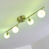 Motala Ceiling Light LED matt nickel, 4-light sources, Remote control, Colour changer