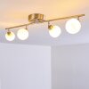 Motala Ceiling Light LED matt nickel, 4-light sources, Remote control, Colour changer