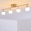 Motala Ceiling Light LED matt nickel, 4-light sources, Remote control, Colour changer