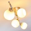 Motala Ceiling Light LED matt nickel, 4-light sources, Remote control, Colour changer
