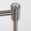 Steinhauer MEXLITE Floor Lamp LED stainless steel, 1-light source