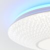 Brilliant LUCIAN Ceiling Light LED white, 1-light source, Remote control, Colour changer