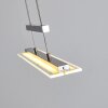 Junsele Pendant Light LED matt nickel, 3-light sources