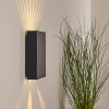 BENIN Outdoor Wall Light LED black, 2-light sources