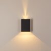 BENIN Outdoor Wall Light LED black, 2-light sources