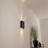 BENIN Outdoor Wall Light LED black, 2-light sources