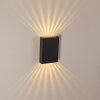 BENIN Outdoor Wall Light LED black, 2-light sources