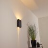 BENIN Outdoor Wall Light LED black, 2-light sources