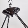 RIEKJE Pendant Light brown, black, 8-light sources