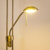Rom uplighter LED antique brass, 2-light sources