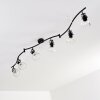 Bois Ceiling Light black, 6-light sources