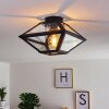 MORAIRA Ceiling Light black, 1-light source