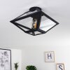 MORAIRA Ceiling Light black, 1-light source