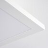 SALMI Ceiling Light LED white, 1-light source