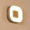 Outdoor Wall Light Feldsted LED silver, 1-light source