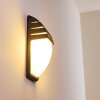 Outdoor Wall Light Canberra anthracite, 1-light source