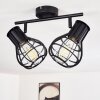 Gainesville Ceiling Light black, 2-light sources