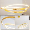 Stalon Pendant Light LED gold, 1-light source