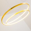 Stalon Pendant Light LED gold, 1-light source