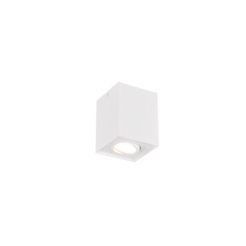 Ceiling Light Trio Leuchten BISCUIT white, 1-light source