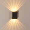 BENIN Outdoor Wall Light LED black, 2-light sources
