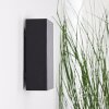 BENIN Outdoor Wall Light LED black, 2-light sources