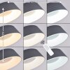 FREMONT Ceiling Light LED grey, 1-light source