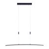 Pendant Light Paul Neuhaus JANINA LED anthracite, 1-light source
