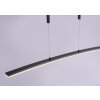 Pendant Light Paul Neuhaus JANINA LED anthracite, 1-light source