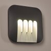 Outdoor Wall Light Silvso LED anthracite, 4-light sources