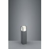 Trio EBRO pedestal light LED anthracite, 1-light source