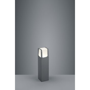 Trio EBRO pedestal light LED anthracite, 1-light source