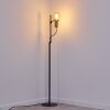 KIREHITO Floor Lamp gold, brass, black, 1-light source